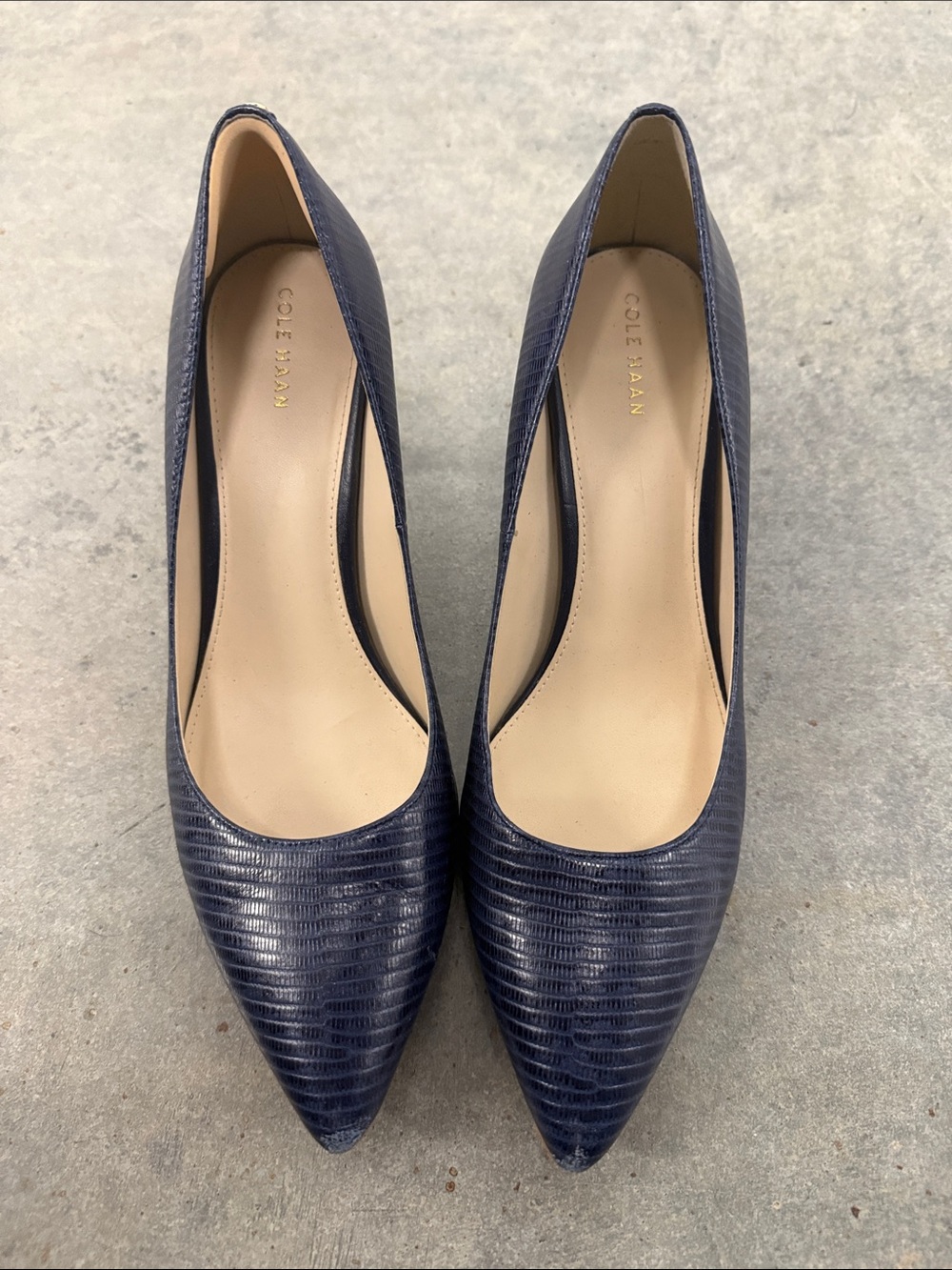 Cole Haan Navy Lizard-Embossed Pointed Pump